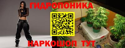 гидропоника Тулун