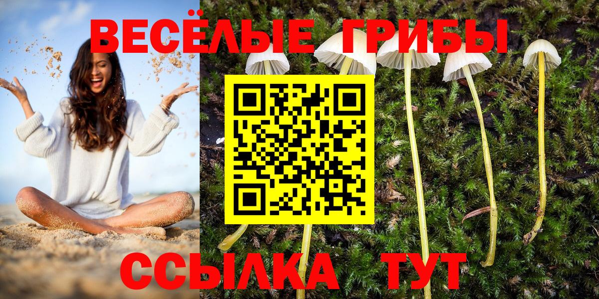 Псилоцибиновые грибы ЛСД  где продают   Вход с VPN  Балашиха  Галлюциногенные грибы мухоморы 